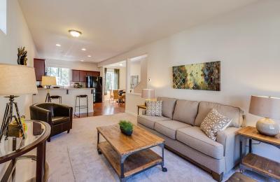Luxury smart apartment